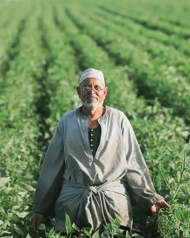 egyption-farmer